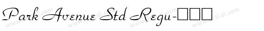 Park Avenue Std Regu字体转换